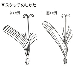 中学理科1年 植物の世界 １ 観察しよう ３ レポートの書き方 あんのん塾