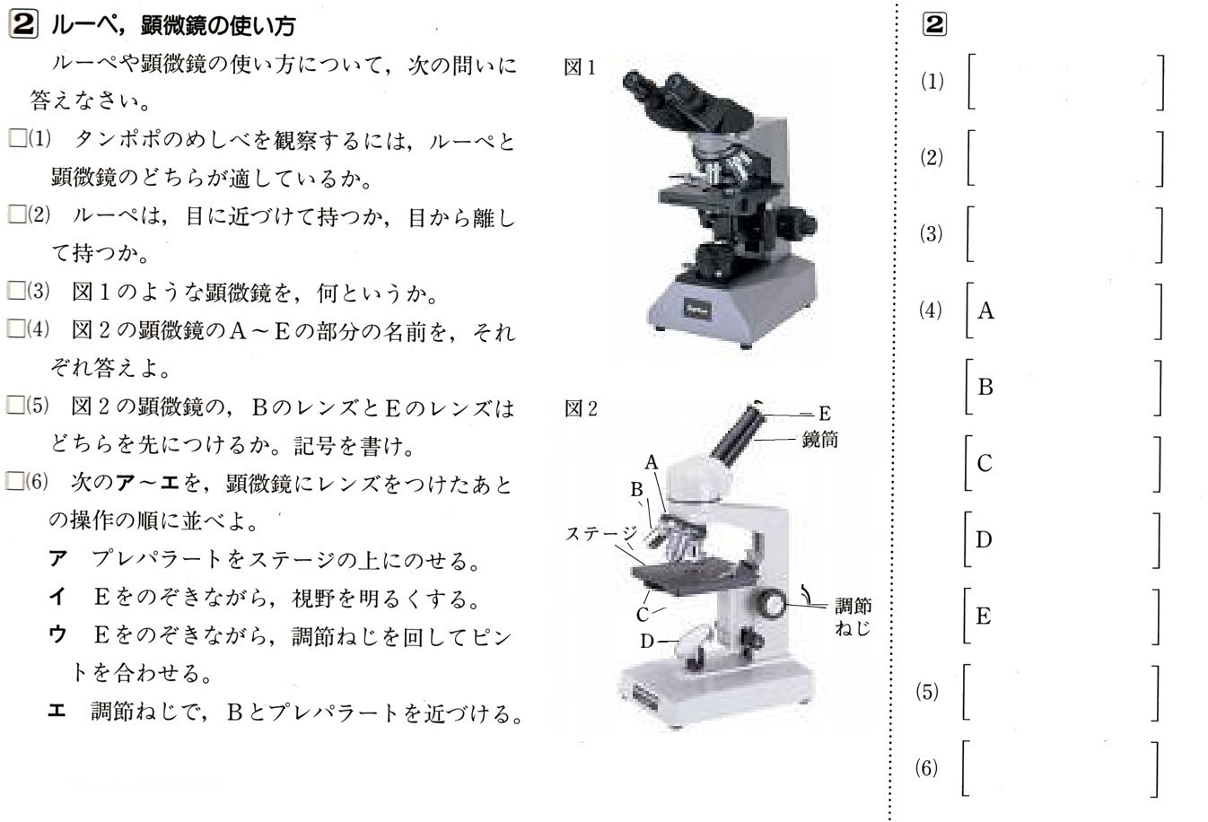 使い方 顕微鏡 の 顕微鏡 写真